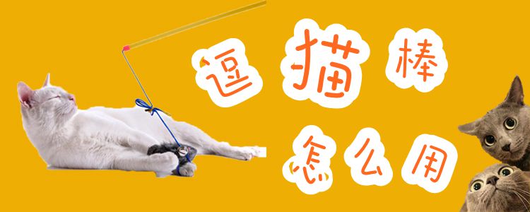 逗貓棒怎么用