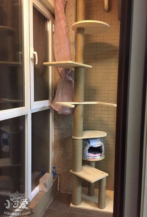 自制貓爬架教程13