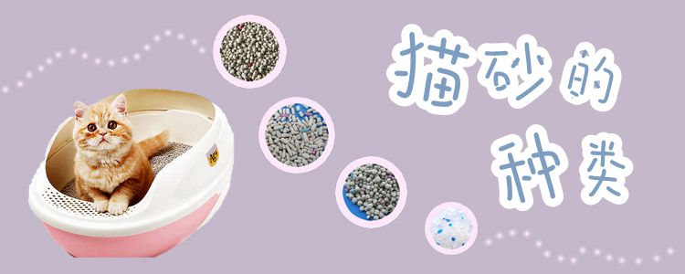 貓砂的種類