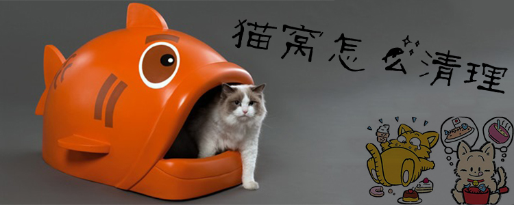 貓窩怎么清理1