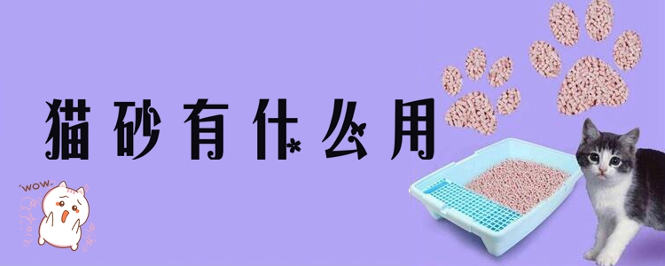 貓砂有什么用