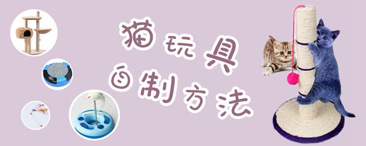 貓玩具自制方法