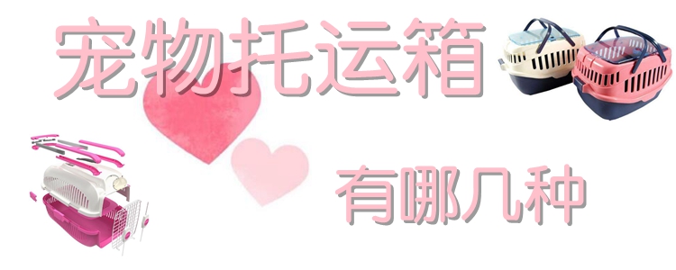 寵物托運箱有哪幾種