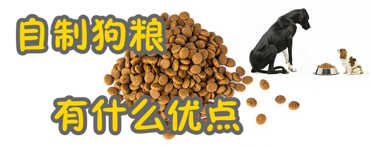 自制狗糧有什么優點