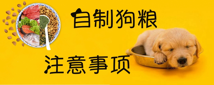 自制狗糧注意事項