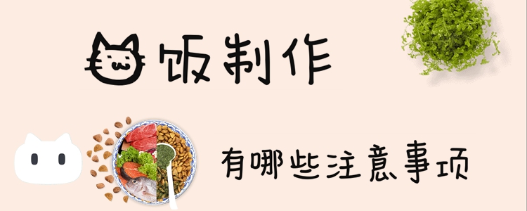 貓飯制作有哪些注意事項