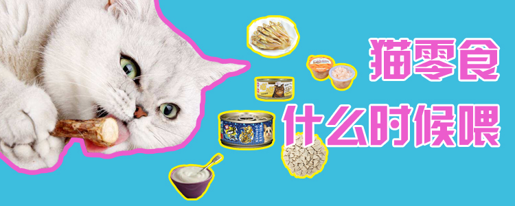 貓零食什么時候喂