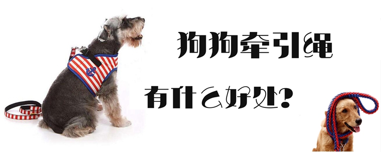 狗狗牽引繩有什么好處