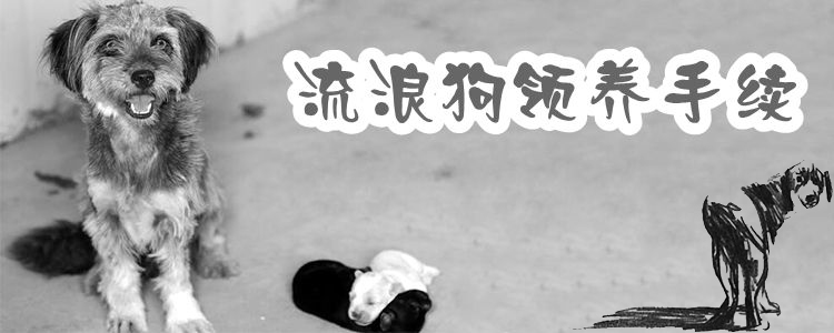 流浪狗領養手續