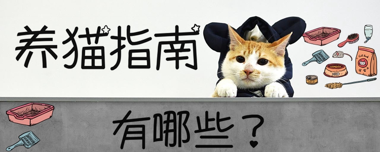 養貓指南有哪些