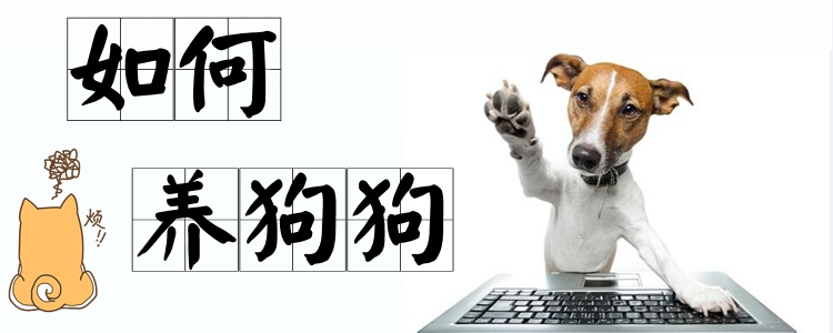 如何養狗狗
