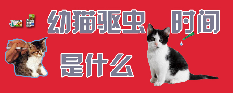 幼貓驅(qū)蟲時間是什么