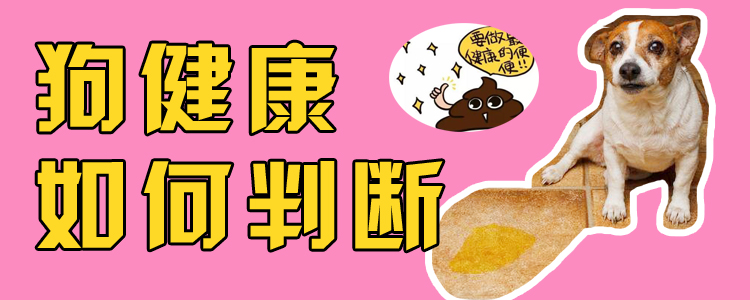狗健康如何判斷