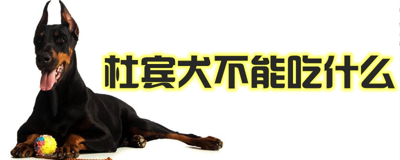 杜賓犬不能吃什么