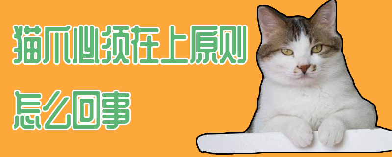 貓爪必須在上原則怎么回事