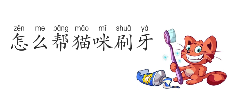 怎么幫貓咪刷牙