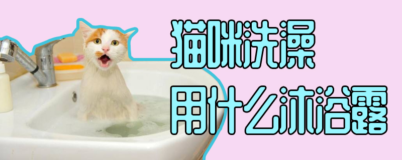 貓咪洗澡用什么沐浴露