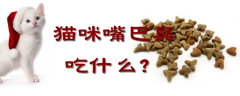 貓咪嘴巴臭吃什么