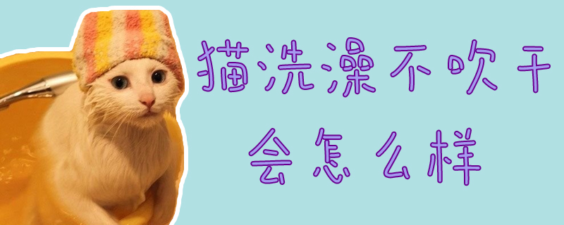 貓洗澡不吹干會怎么樣