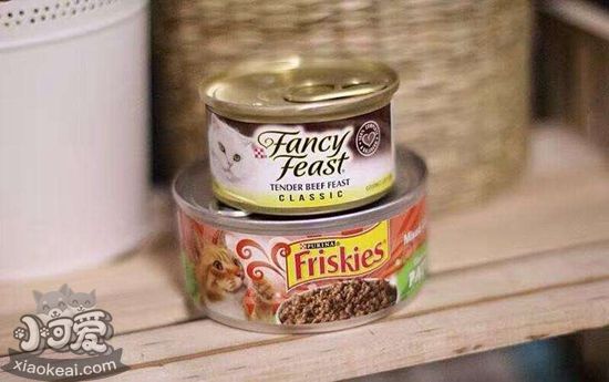 貓罐頭怎么保鮮 貓罐頭保鮮方法