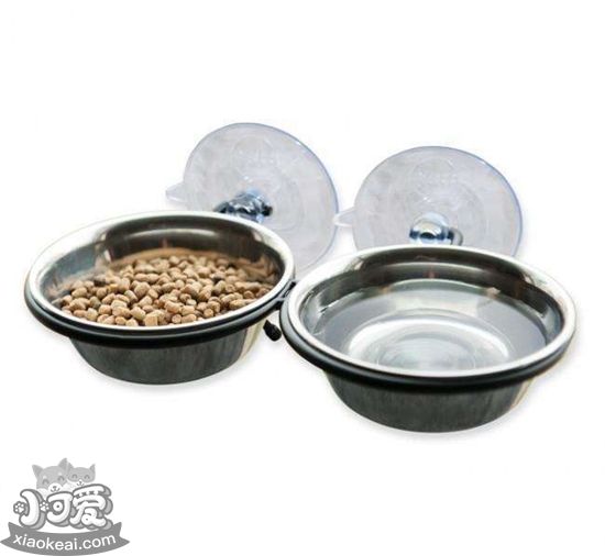 貓咪食具怎么選 貓咪食具挑選方法