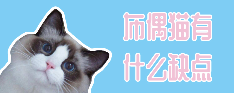 布偶貓有什么缺點(diǎn)