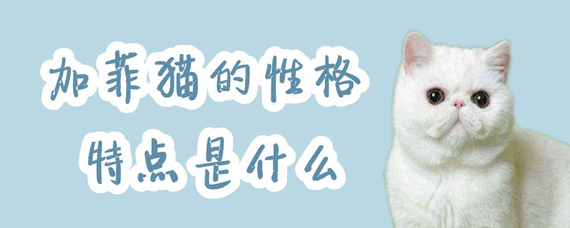 加菲貓的性格特點是什么