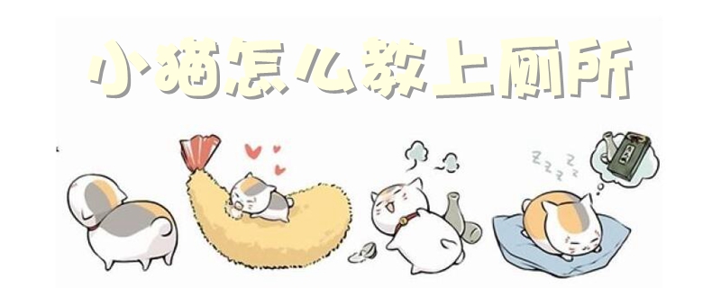 小貓怎么教上廁所