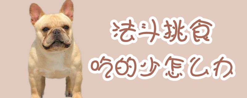 法斗挑食吃的少怎么辦