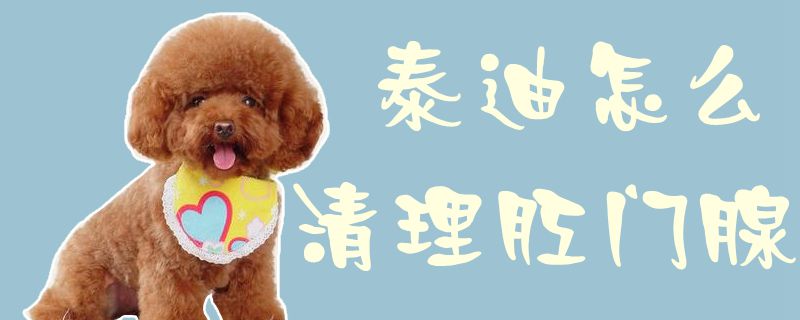 泰迪怎么清理肛門腺1