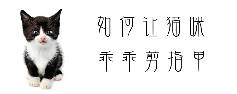 如何讓貓咪乖乖剪指甲