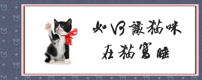 如何讓貓咪在貓窩睡