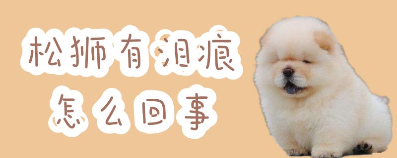 松獅有淚痕怎么回事