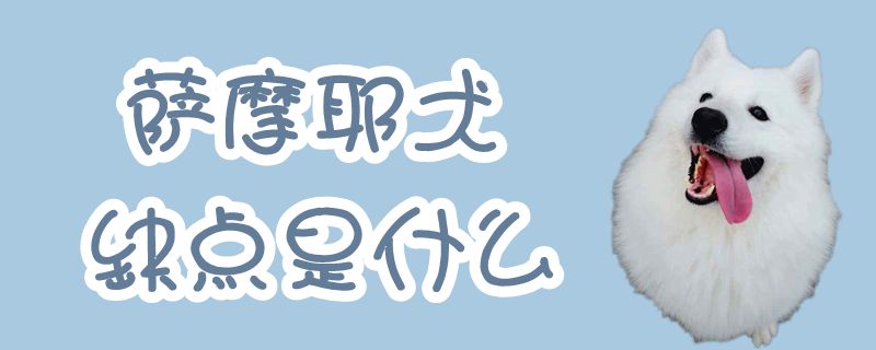 薩摩耶犬缺點是什么