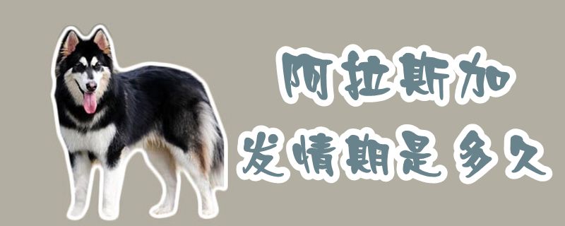 阿拉斯加發(fā)情期是多久