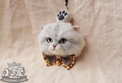 金吉拉貓抓家具怎么辦 貓咪抓家具解決辦法