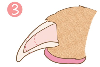 怎么幫狗狗剪指甲 給狗狗剪指甲方法9