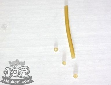 柯基怎么斷尾 柯基犬斷尾教程2