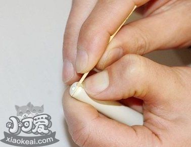 柯基怎么斷尾 柯基犬斷尾教程4