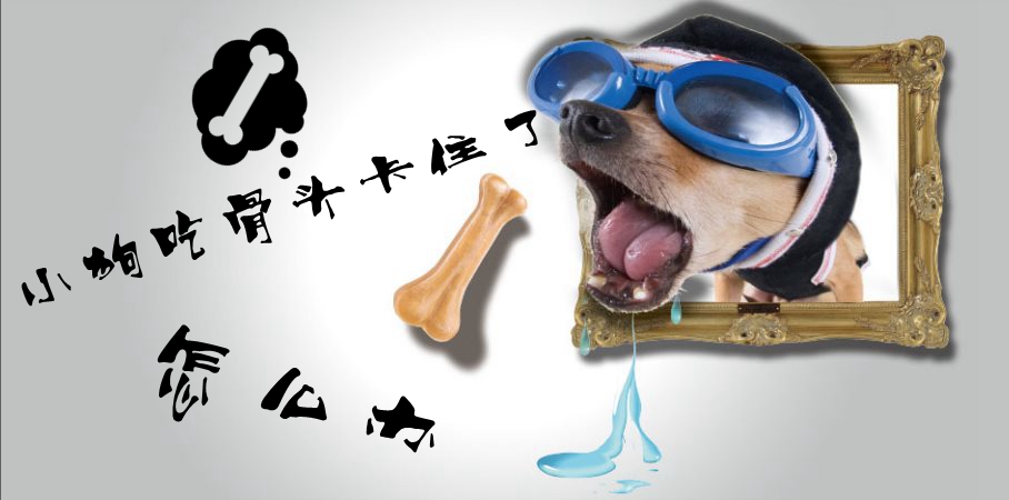小狗吃骨頭卡住了怎么辦1