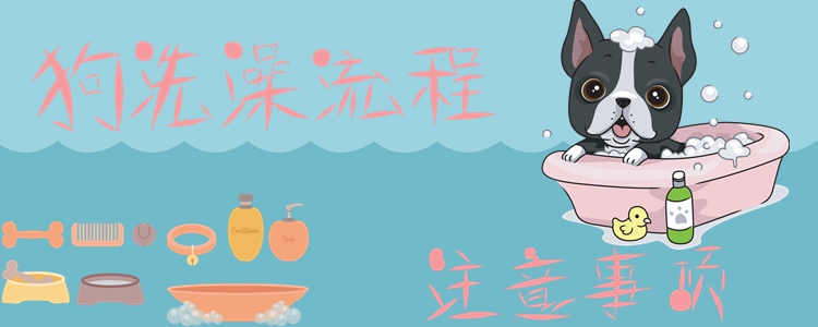 狗洗澡流程及注意事項(xiàng)1