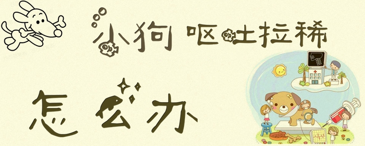 小狗嘔吐拉稀怎么辦1