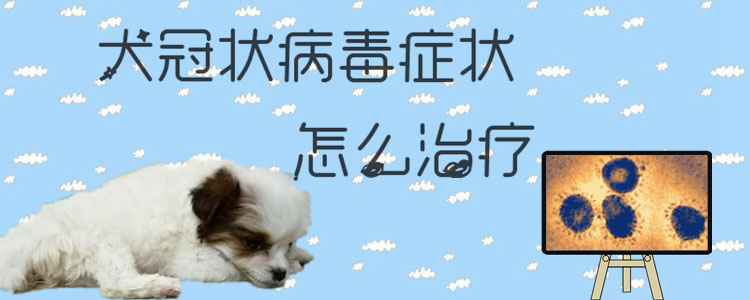 犬冠狀病毒癥狀怎么治療1