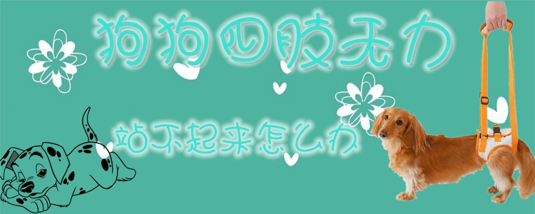 狗狗四肢無力站不起來怎么辦1