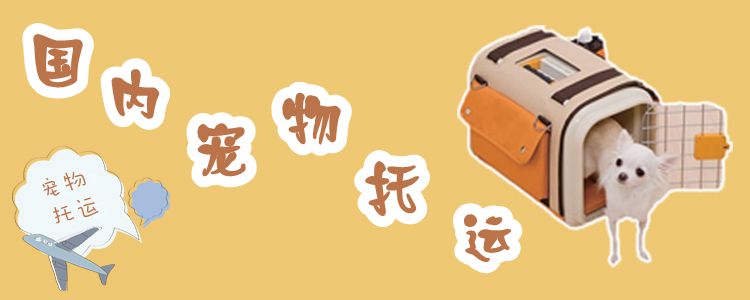 國內寵物托運