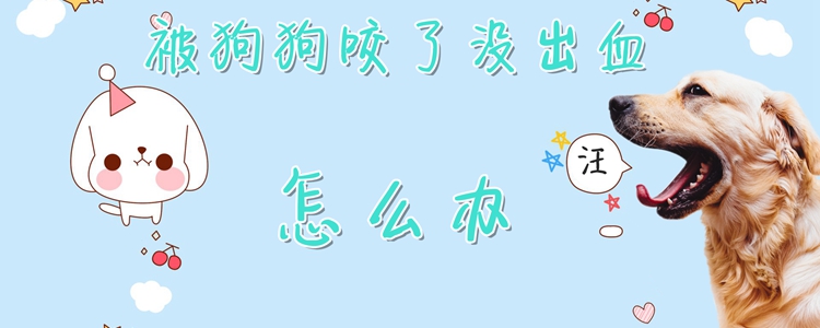 被狗狗咬了沒出血怎么辦