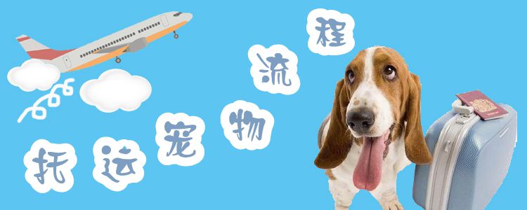 托運寵物流程1