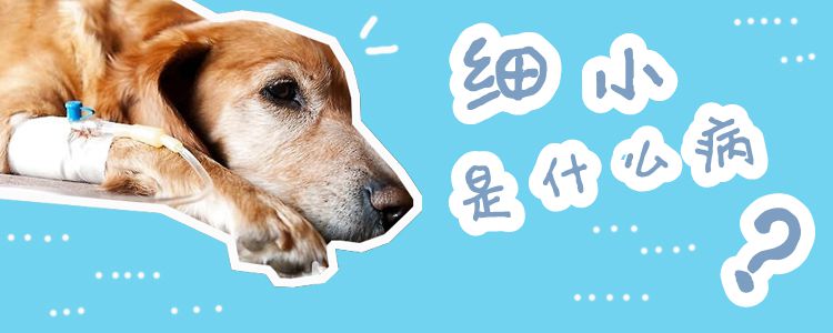 細(xì)小是什么病