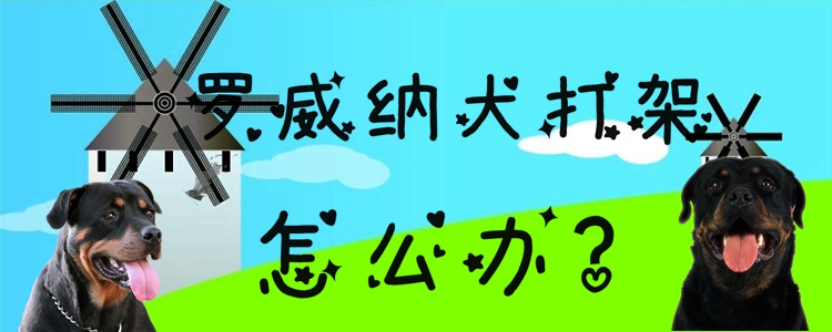 羅威納犬打架怎么辦