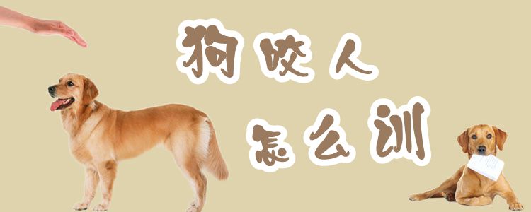 狗咬人怎么訓